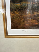 Load image into Gallery viewer, Terry Redlin Picture