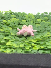 Load image into Gallery viewer, German Bisque Porcelain Snow Babies Pink Rare
