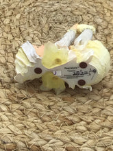 Load image into Gallery viewer, Figurine
