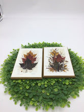 Load image into Gallery viewer, Pressed Leaves/Seeds Pictues by Henni Canad
