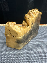 Load image into Gallery viewer, Maple Burl Wood Puzzle Box, live edge
