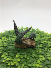 Load image into Gallery viewer, Madison Carved Pink Throated Hummingbirds
