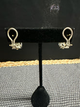 Load image into Gallery viewer, Earrings

