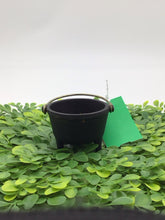 Load image into Gallery viewer, 3" Miniature Black Cast Iron Cauldron/ Pot with Handle
