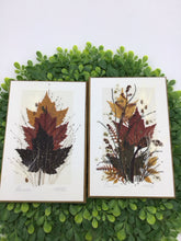 Load image into Gallery viewer, Pressed Leaves/Seeds Pictues by Henni Canad
