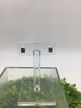 Load image into Gallery viewer, Earrings
